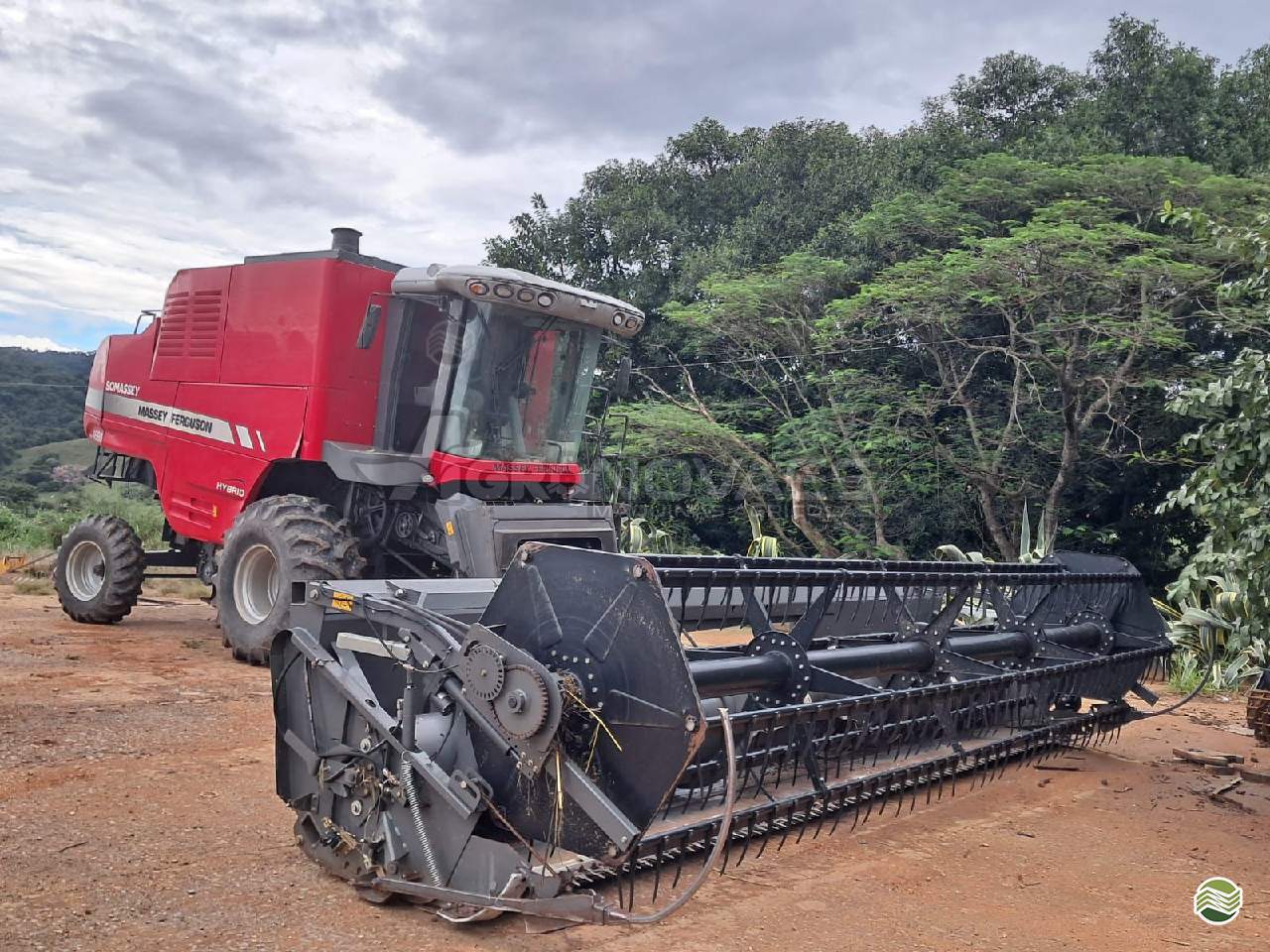 COLHEITADEIRA MASSEY FERGUSON MF 4690 Agro Novaes Máquinas Agrícolas FERNANDOPOLIS SÃO PAULO SP